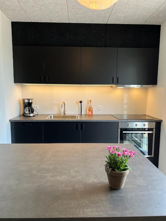 Holiday Apartments 岑讷 外观 照片