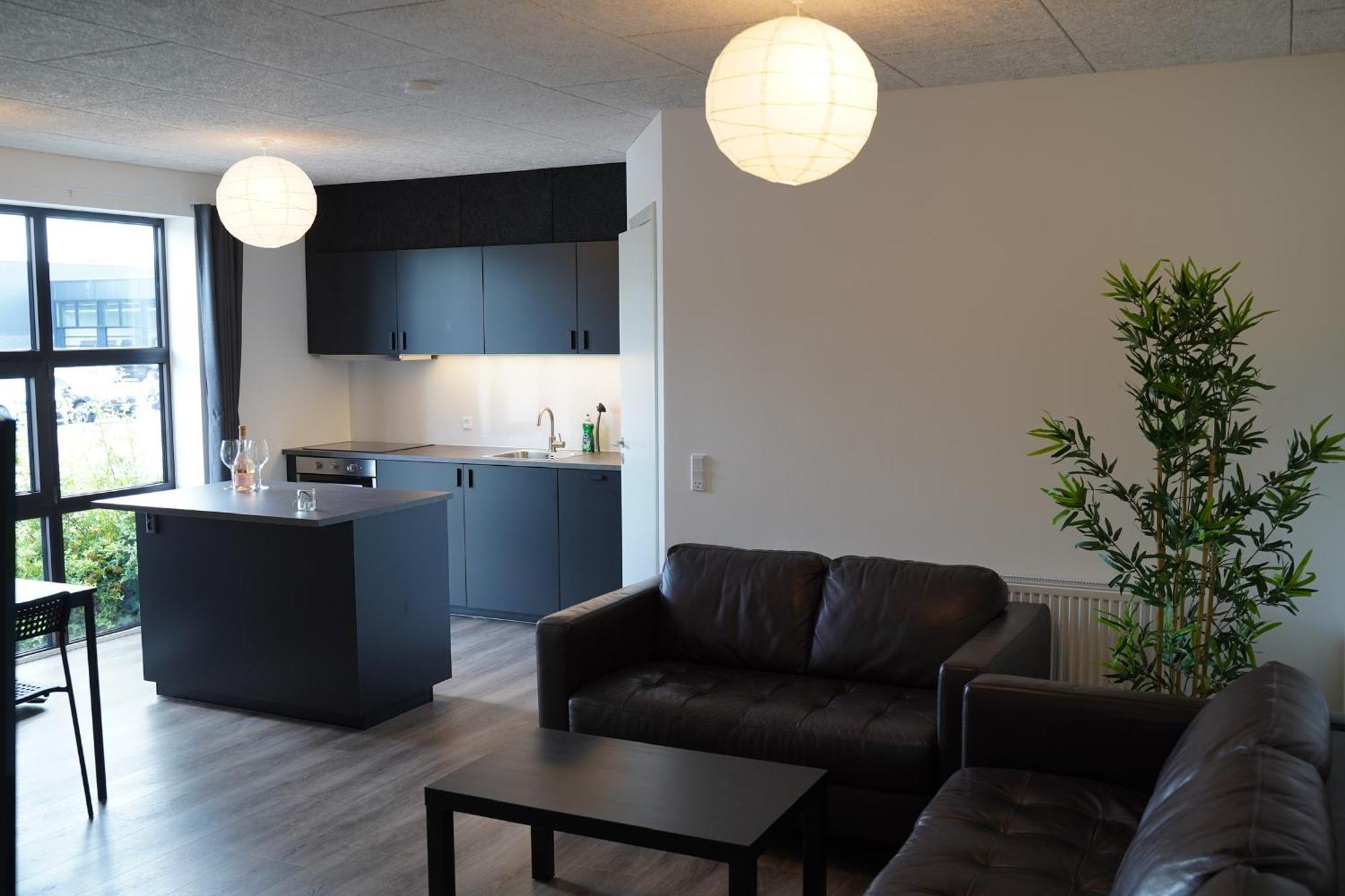 Holiday Apartments 岑讷 外观 照片