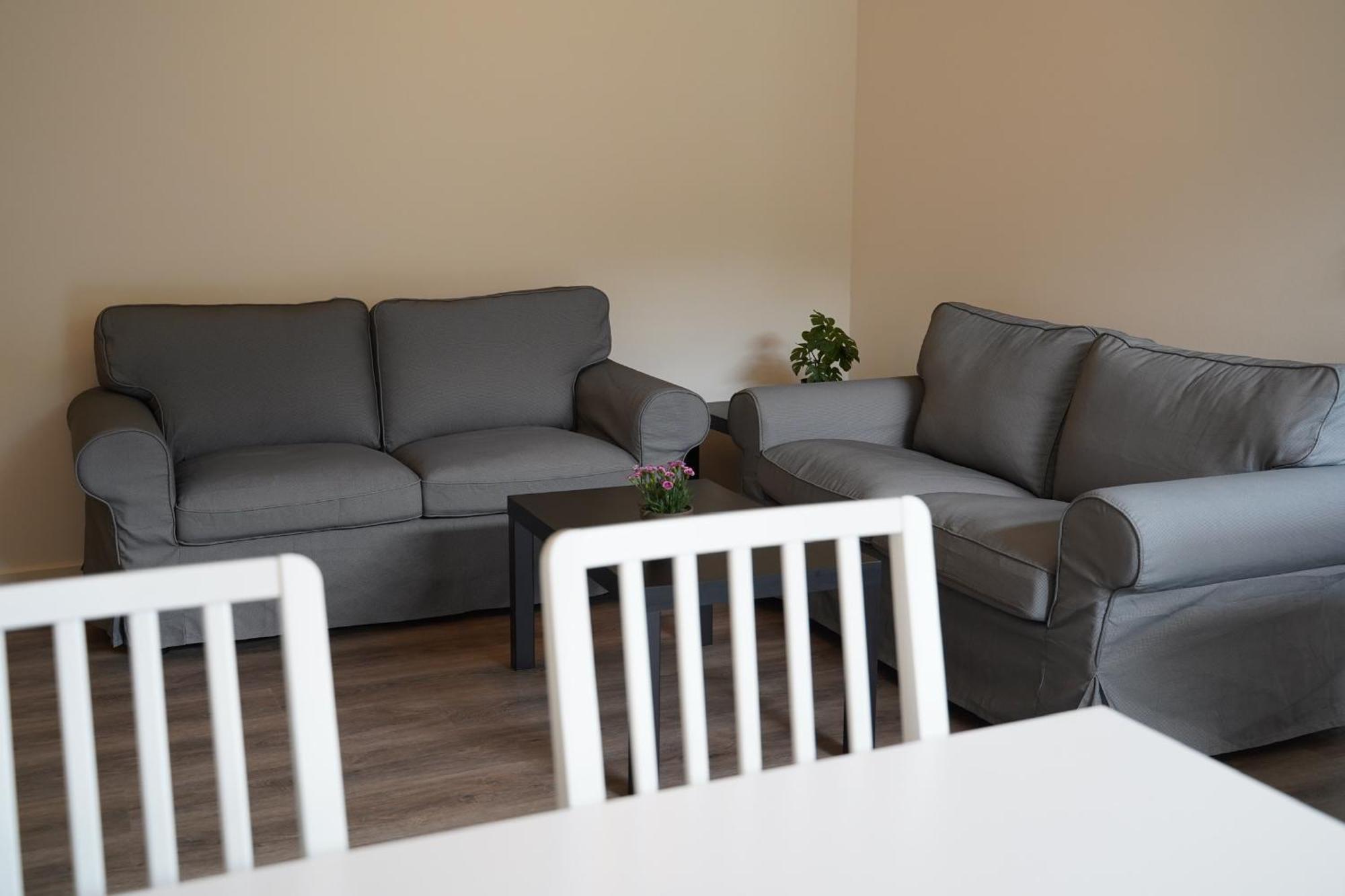 Holiday Apartments 岑讷 外观 照片
